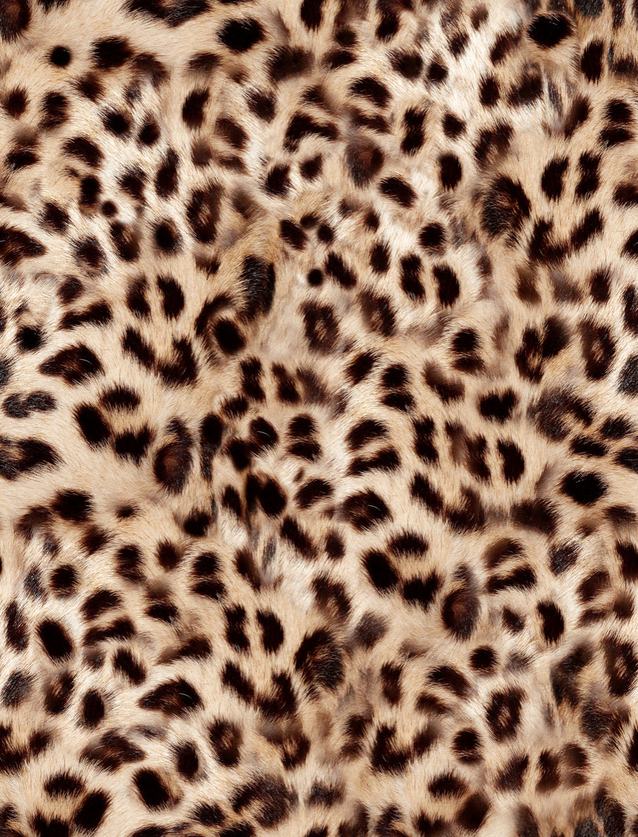 Leopard print 101: Dressing like Shania Twain – Dancing Leopard